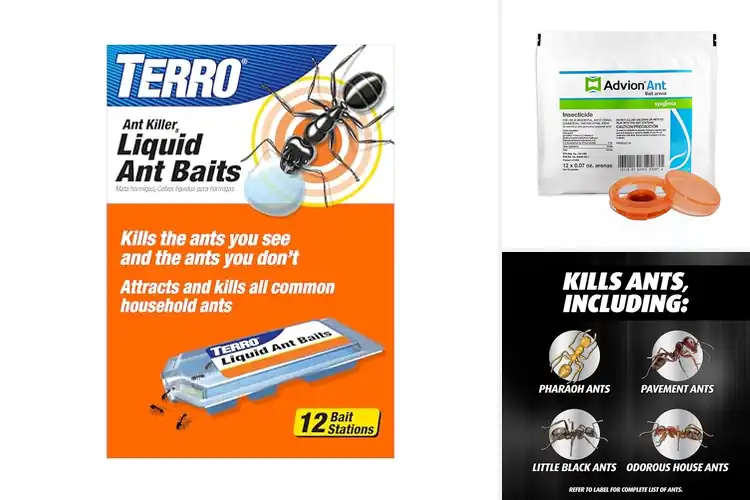 Detailed view of Best 12 Count Ant Bait Stations Value