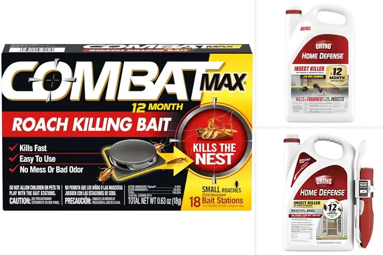 Detailed view of Best 12 Month Roach Control: Year-Round Pest-Free Comfort