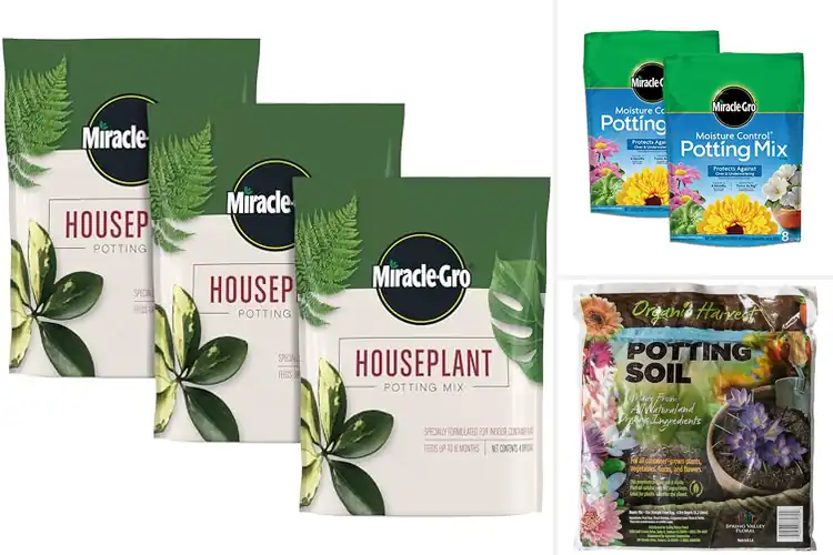 Detailed view of Best 4 Quart Potting Mix For 8-Inch Pot