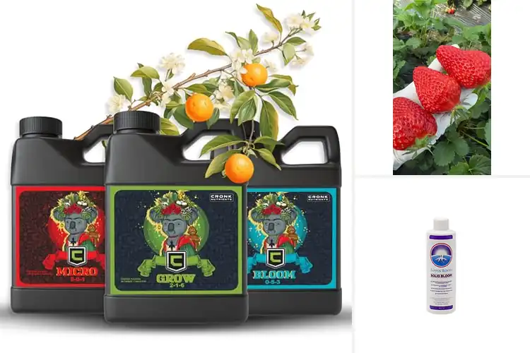 Detailed view of Best Abundant Yields: Expert Tips for a Productive Garden
