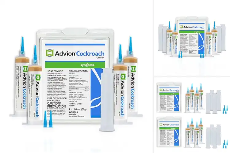 Detailed view of Best Advion Cockroach Gel Bait
