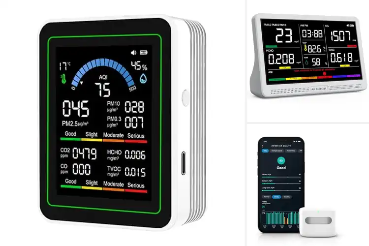 Detailed view of Best Air Quality Monitors