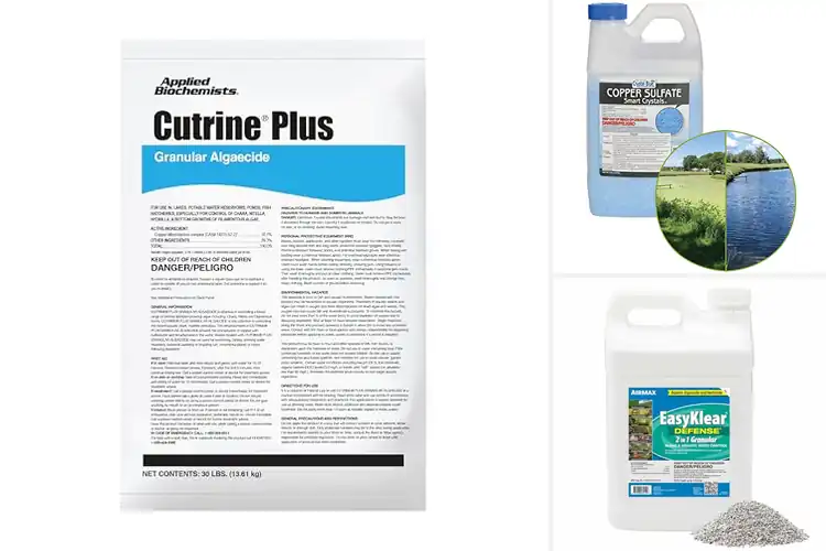 Detailed view of Best Algae Control Granules: Top 10 Clear Water Solutions