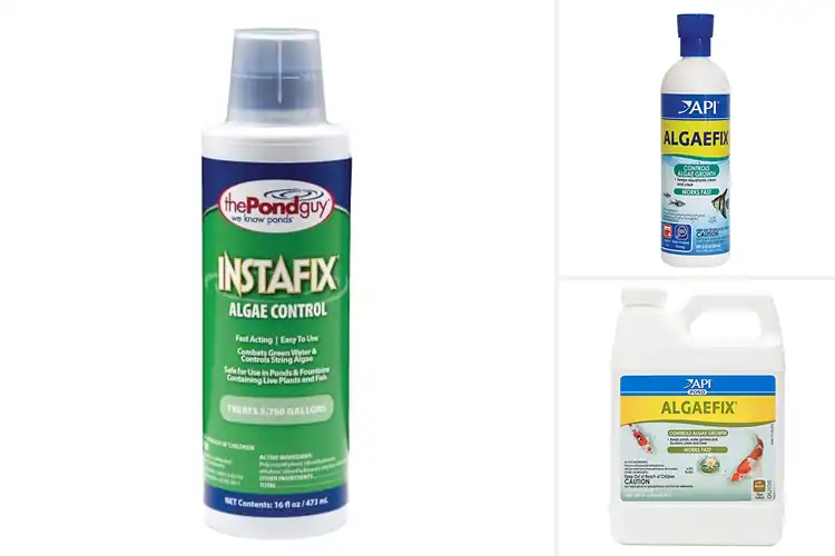Detailed view of Best Algae Control Products