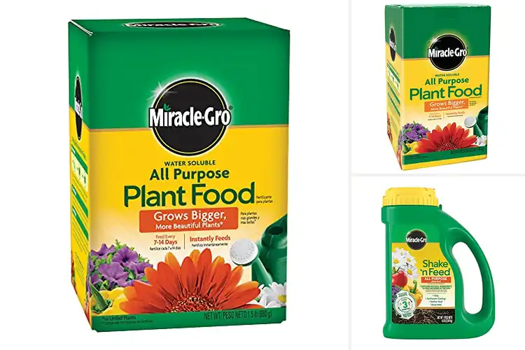 Detailed view of Best All-Purpose Plant Foods