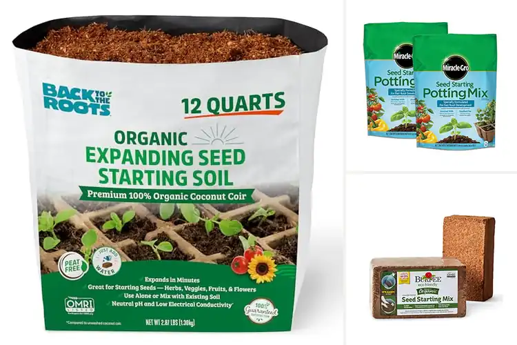 Detailed view of Best All Purpose Seed Starting Mix For Veggies