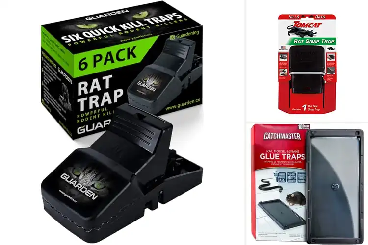 Detailed view of Best All-Season Rat Traps