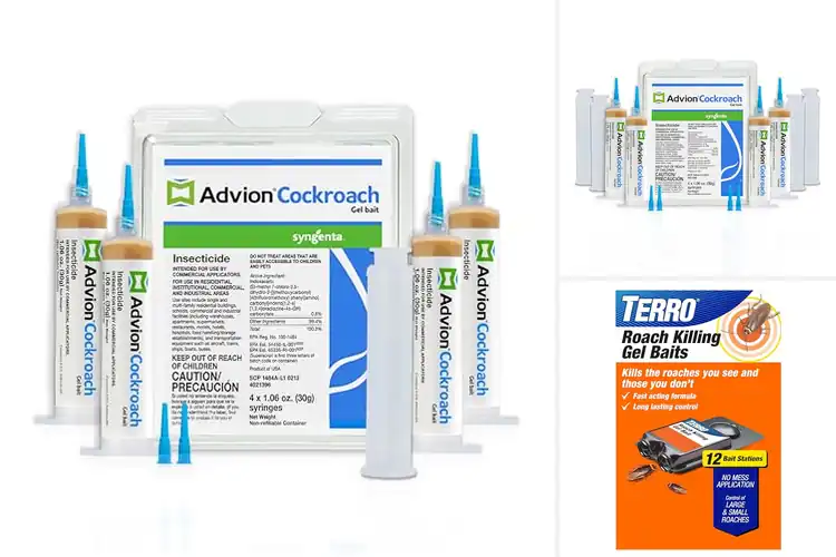 Detailed view of Best American Cockroach Baits for Fast, Effective Control