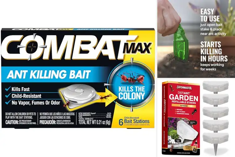 Detailed view of Best Ant Bait Systems