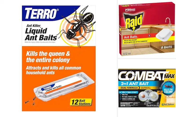 Detailed view of Best Ant Baits For Kitchen