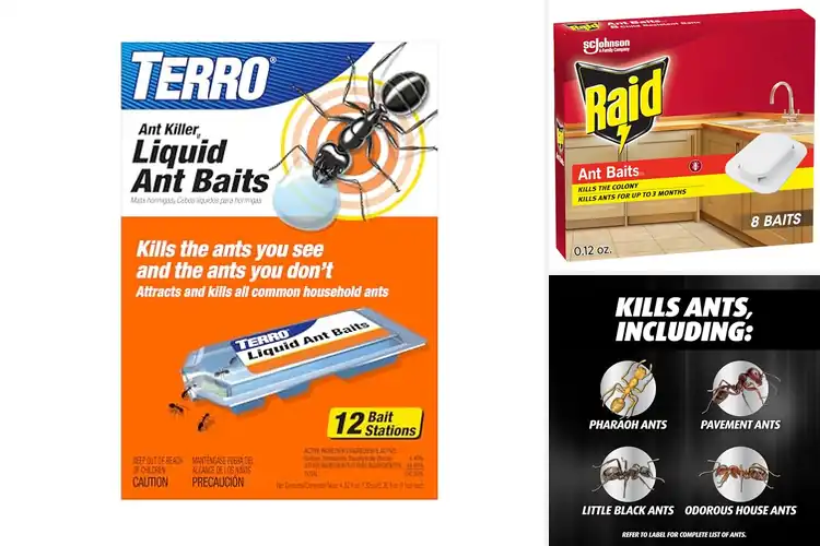 Detailed view of Best Ant Baits : Your Home’s New Best Friend