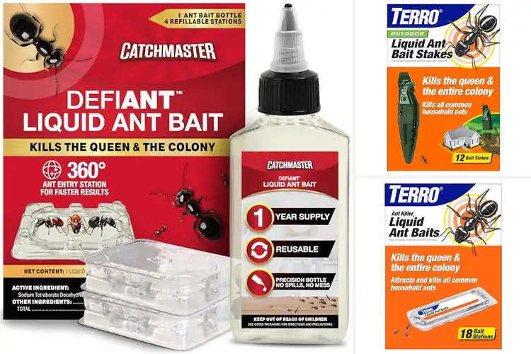 Detailed view of Best Ant Colony Eliminators