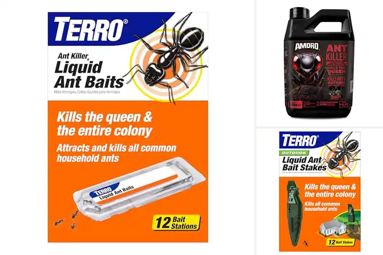 Detailed view of Best Ant Colony Killers