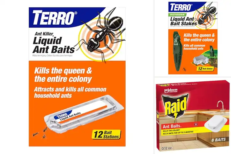 Detailed view of Best Ant Control Baits for Fast Home Protection