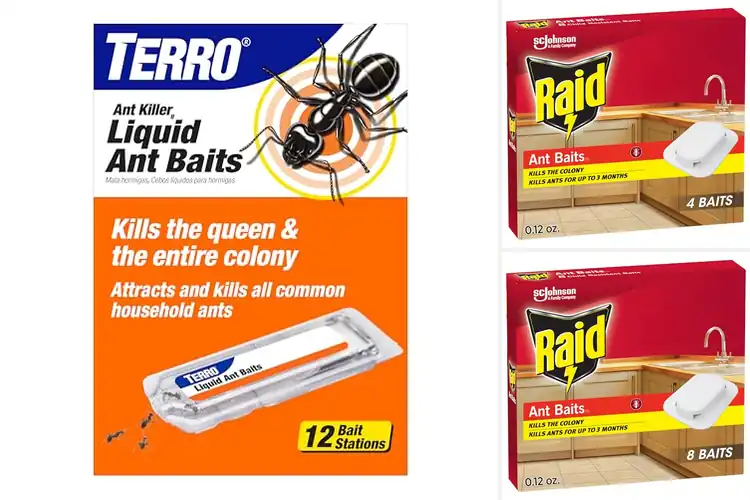 Detailed view of Best Ant Killer Baits: 10 Top Solutions for a Pest-Free Home