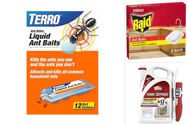 Detailed view of Best Ant Killers for Indoors