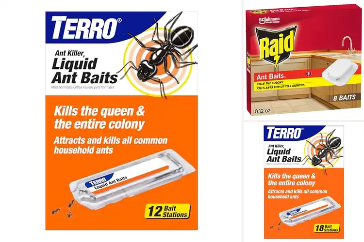 Detailed view of Best Ant Poison Baits: Top 10 Picks for an Ant-Free Home