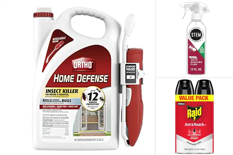 Detailed view of Best Ant Sprays: Top 10 Picks for a Pest-Free Home