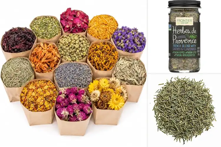 Detailed view of Best Aromatic Herbs