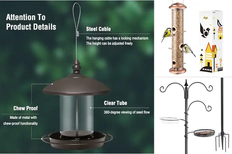 Detailed view of Best Backyard Bird Feeders