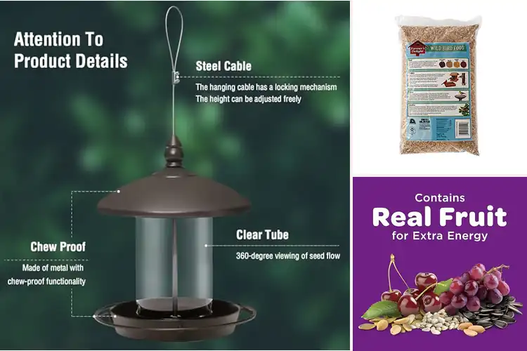 Detailed view of Best Backyard Bird Feeding