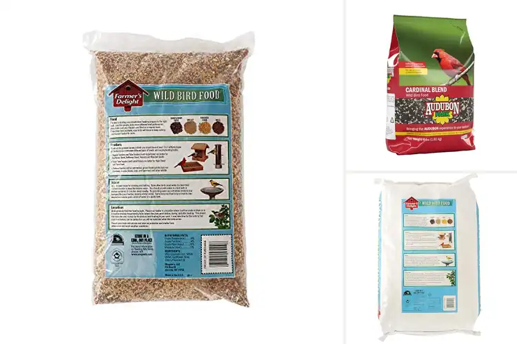 Detailed view of Best Backyard Bird Foods