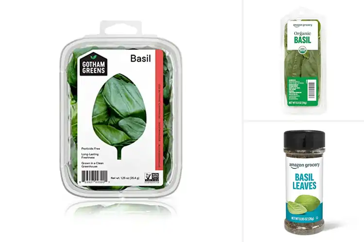 Detailed view of Best Basils: Top 10 Picks to Elevate Your Culinary Creations