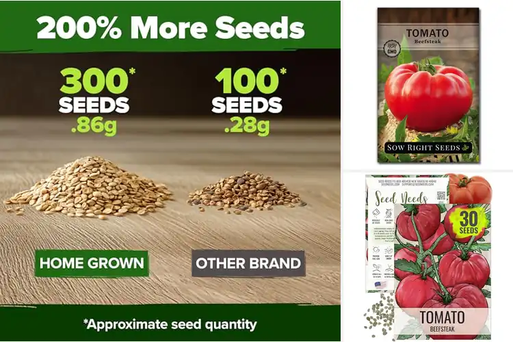 Detailed view of Best Beefsteak Tomato Seeds