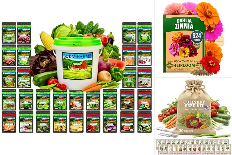 Detailed view of Best Beginner Friendly Seeds: 10 Easy-to-Grow Garden Options
