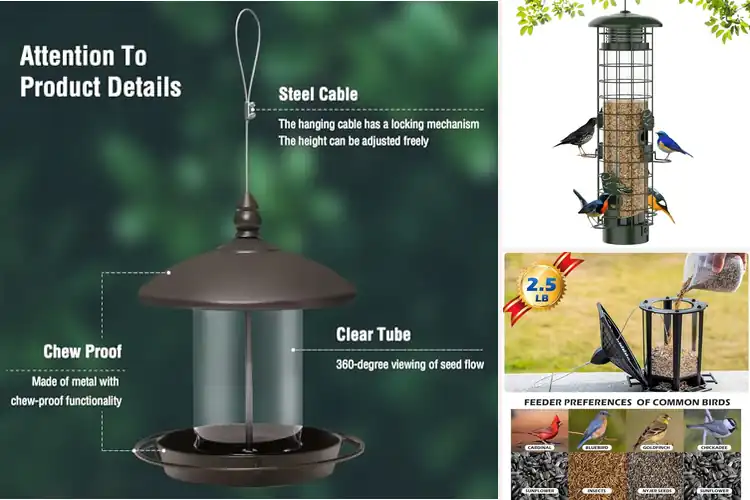 Detailed view of Best Bird Feeders: Enjoy Nature’s Beauty Up Close
