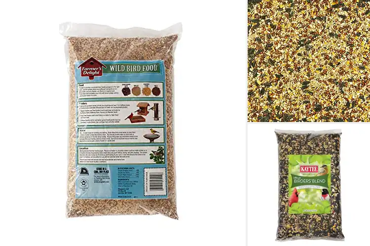Detailed view of Best Bird Food Mixes to Attract Stunning Backyard Birds Fast