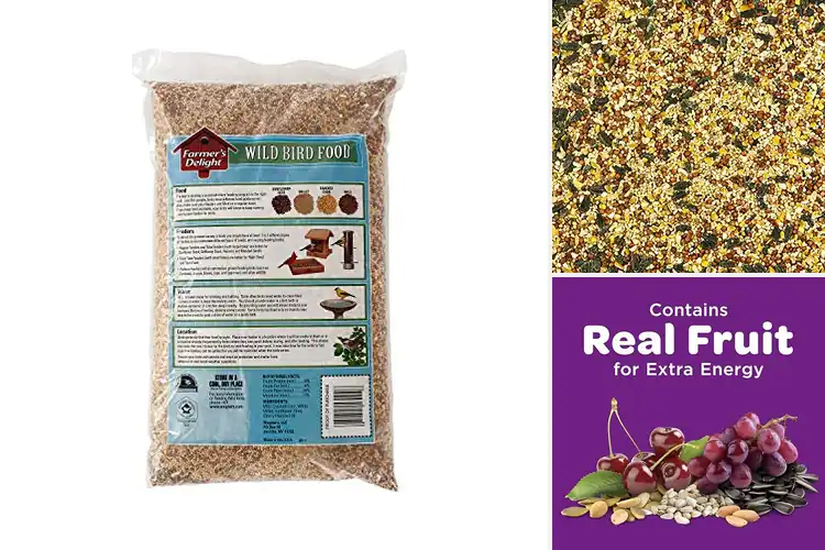 Detailed view of Best Bird Food Seeds to Attract Vibrant Birds Instantly