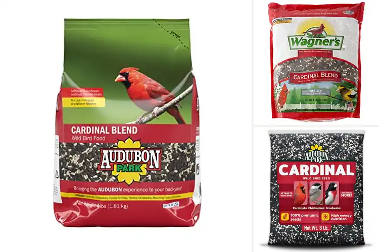 Detailed view of Best Bird Seeds For Cardinals