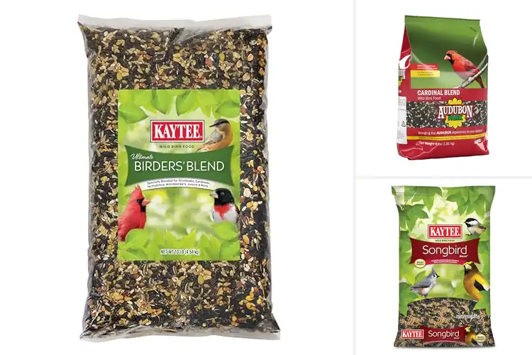 Detailed view of Best Birdseed Blends