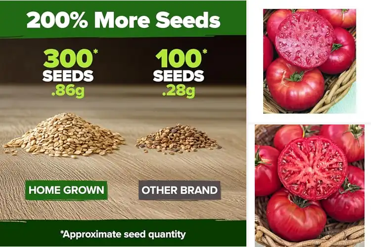 Detailed view of Best BLT Tomato Seeds: Juicy, Flavorful Homegrown Tomatoes