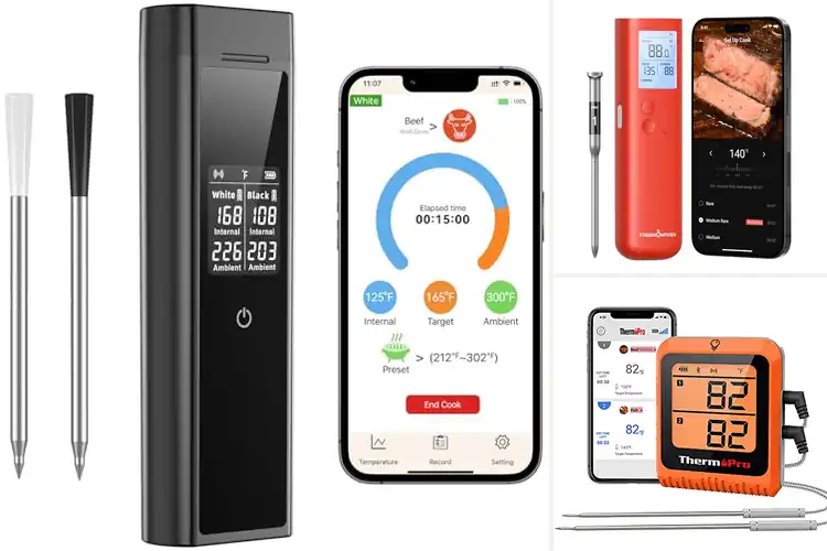 Detailed view of Best Bluetooth Thermometers