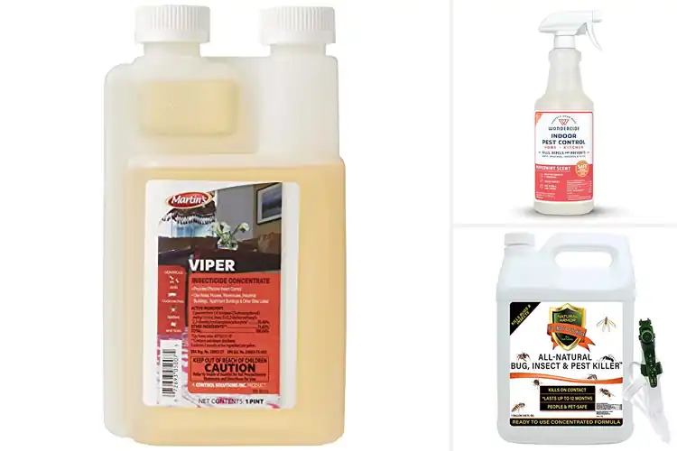 Detailed view of Best Bug Control Solutions: Top 10 Pest-Free Home Essentials