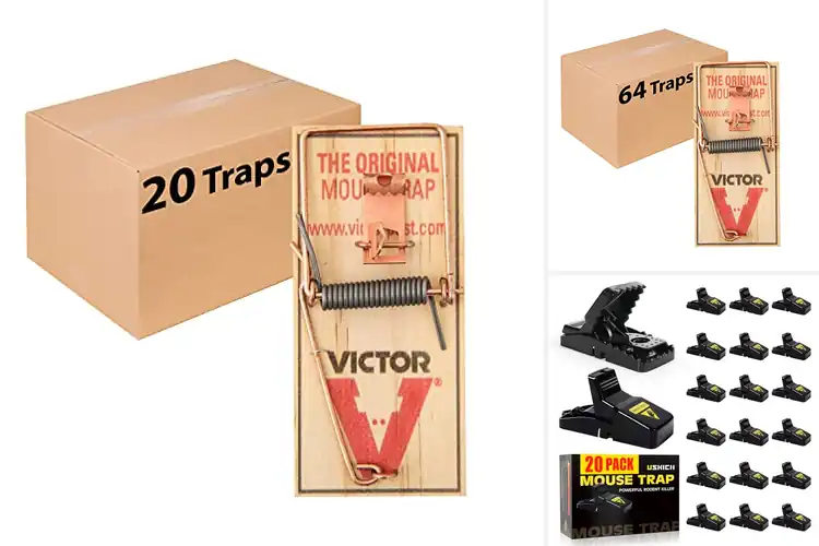 Detailed view of Best Bulk Mouse Traps: Top 10 Eco-Friendly Pest Solutions