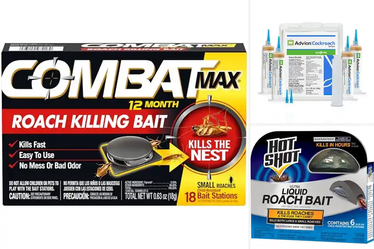 Detailed view of Best Cabinet Roach Baits