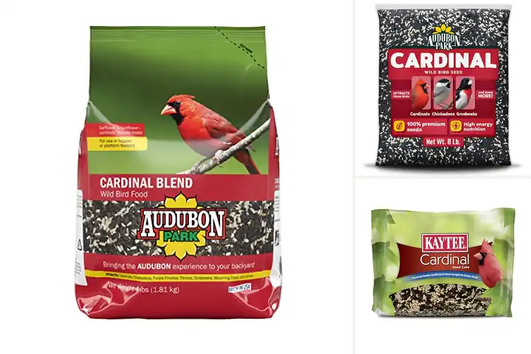 Detailed view of Best Cardinal Bird Foods