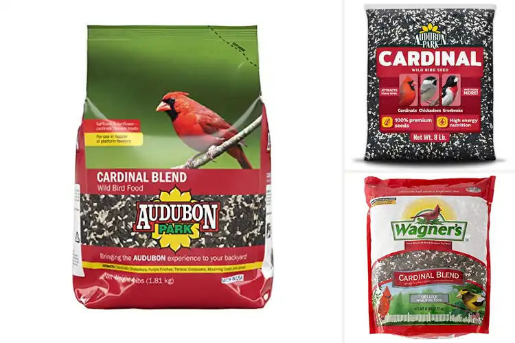 Detailed view of Best Cardinal Foods: Top 10 Picks for a Vibrant Bird Haven