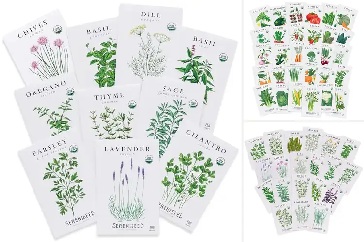 Detailed view of Best Certified Organic Seeds