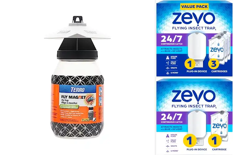 Detailed view of Best Chemical-Free Fly Traps