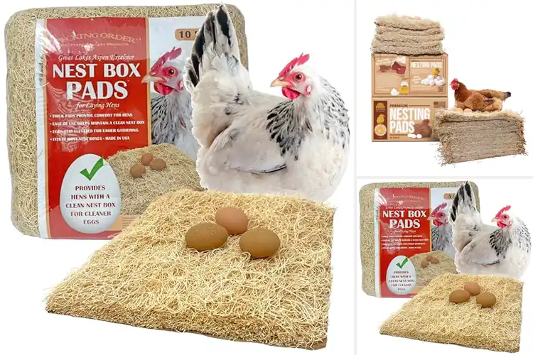 Detailed view of Best Chicken Coop Nesting Pads for Clean, Happy Hens