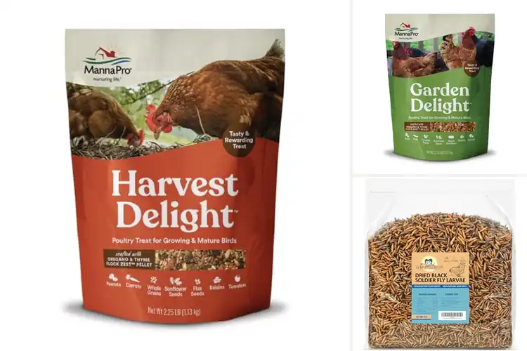 Detailed view of Best Chickens Snack For Laying