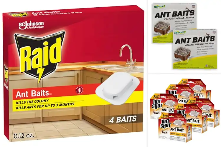 Detailed view of Best Child Resistant Ant Baits for Safe, Strong Protection