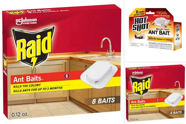 Detailed view of Best Child Resistant Ant Killers
