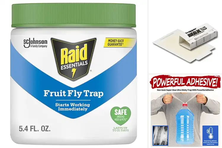 Detailed view of Best Child-Safe Insect Traps: Keep Your Home Bug-Free Safely