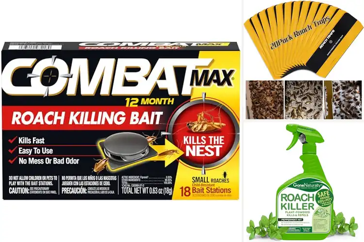 Detailed view of Best Child Safe Roach Controls