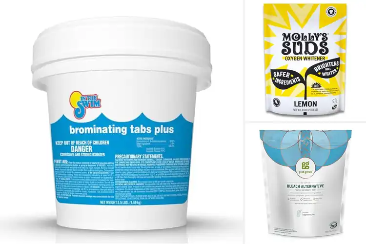 Detailed view of Best Chlorine Alternatives